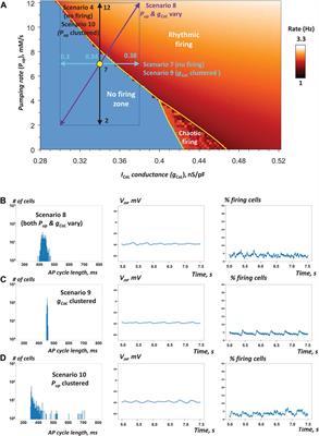 Functional Heterogeneity of Cell Populations Increases Robustness of Pacemaker Function in a Numerical Model of the Sinoatrial Node Tissue